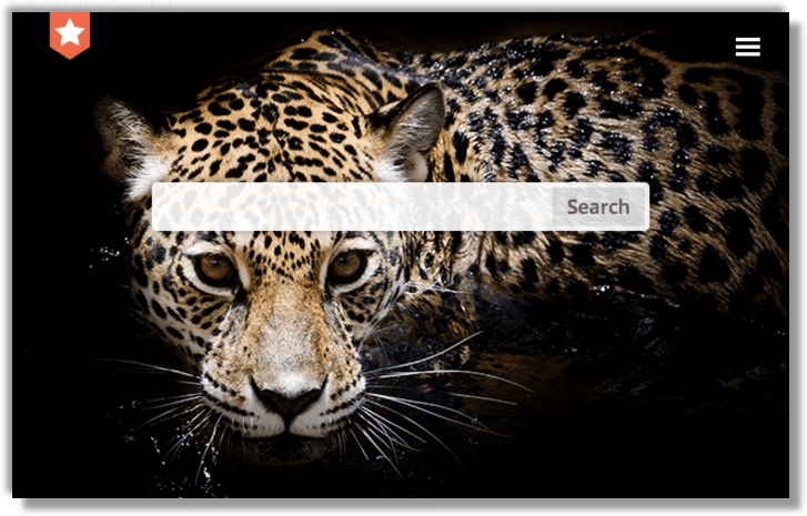 Как избавиться от рекламного вируса cheetah new tab в браузерах chrome, firefox, internet explorer, edge
