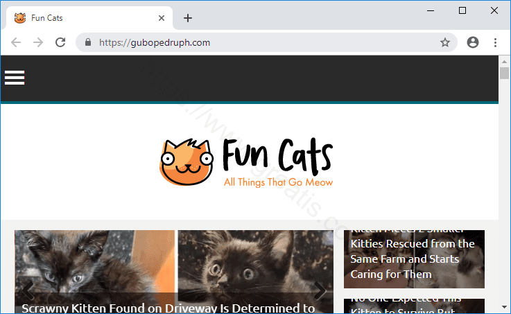 Как избавиться от уведомлений gubopedruph.com в браузерах chrome, firefox, internet explorer, edge