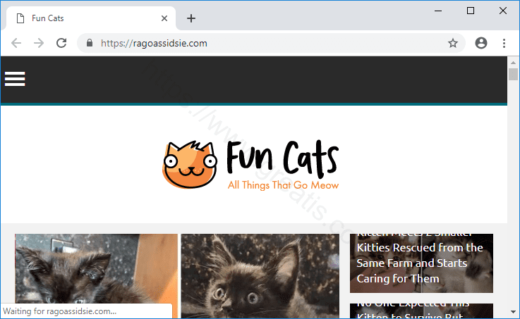 Как избавиться от уведомлений ragoassidsie.com в браузерах chrome, firefox, internet explorer, edge