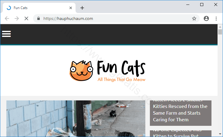 Как избавиться от уведомлений hauphuchaum.com в браузерах chrome, firefox, internet explorer, edge