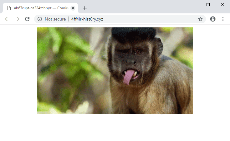 Как избавиться от уведомлений 4ff4ir-hist0ry.xyz в браузерах chrome, firefox, internet explorer, edge